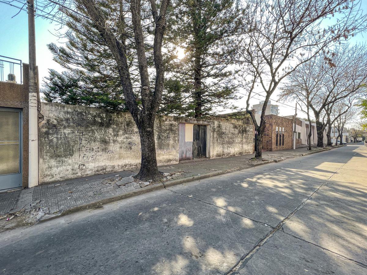 Terreno baldío arbolado — foto 1