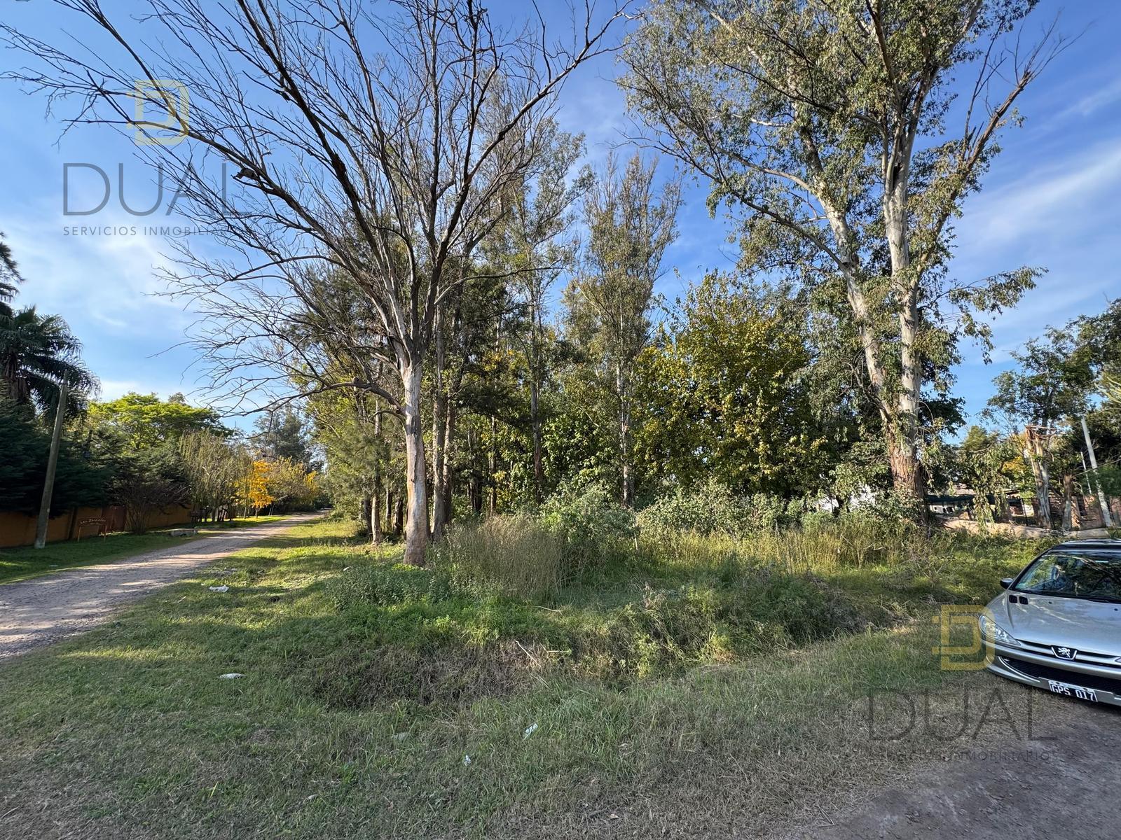 Terreno en Andino — foto 1