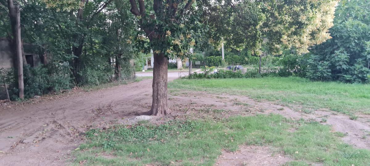VENTA Terreno en la localidad de Bigand — foto 1